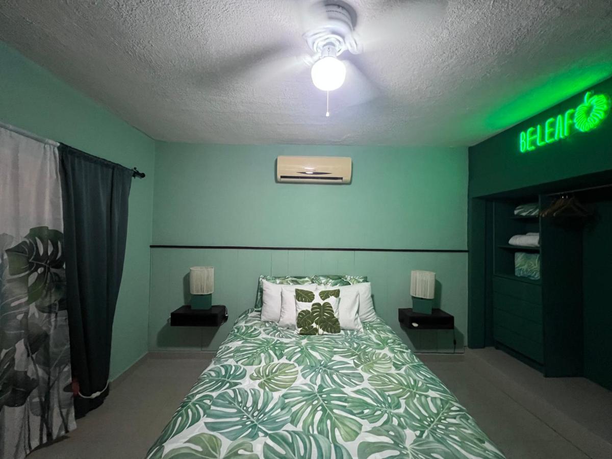 לינה וארוחת בוקר Dici Co-Living Housing קאבו סן לוקאס מראה חיצוני תמונה