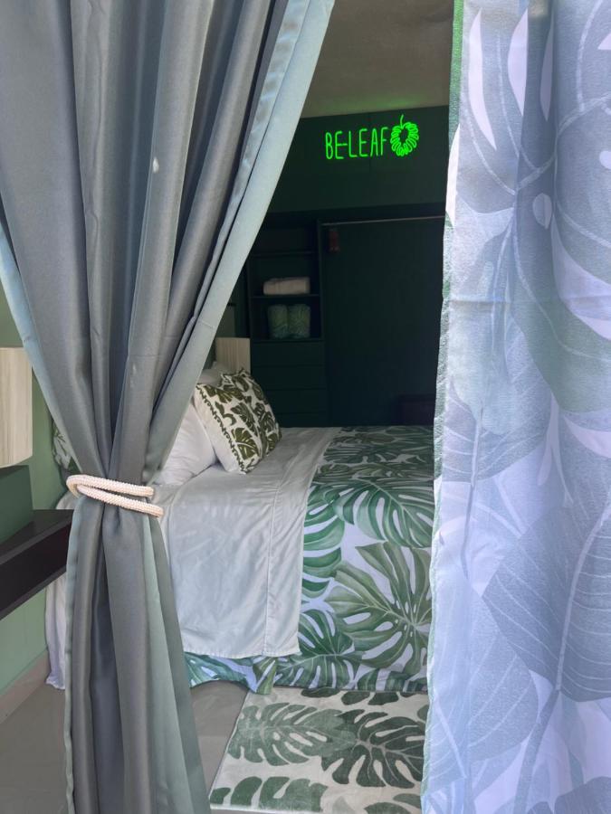 לינה וארוחת בוקר Dici Co-Living Housing קאבו סן לוקאס מראה חיצוני תמונה
