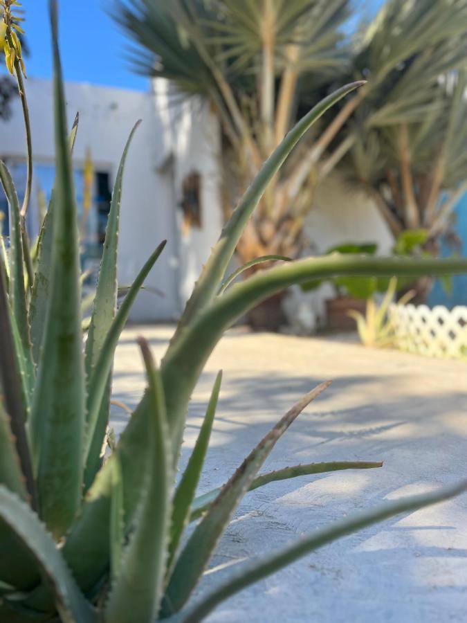 לינה וארוחת בוקר Dici Co-Living Housing קאבו סן לוקאס מראה חיצוני תמונה