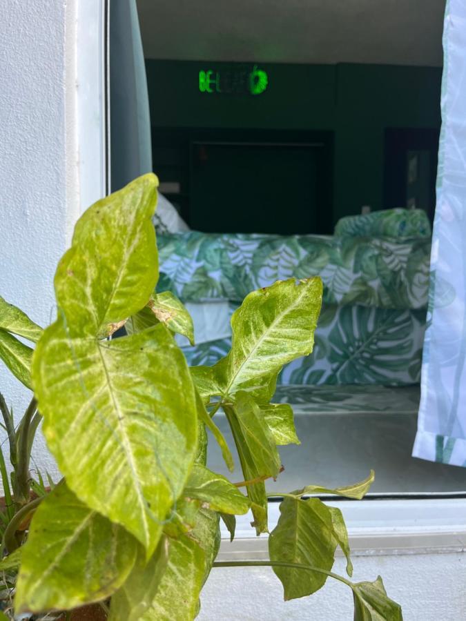לינה וארוחת בוקר Dici Co-Living Housing קאבו סן לוקאס מראה חיצוני תמונה
