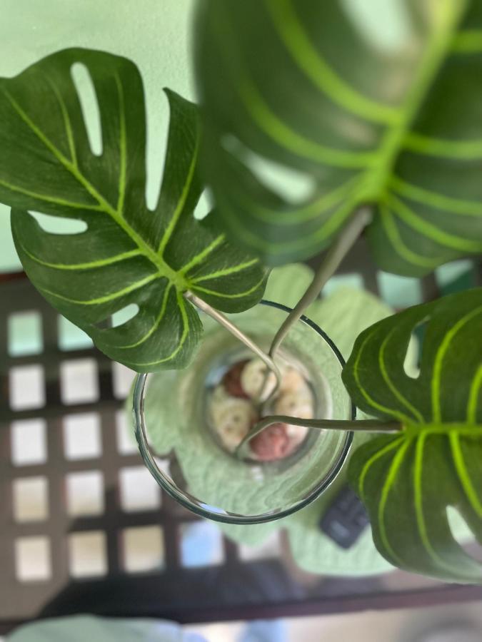 לינה וארוחת בוקר Dici Co-Living Housing קאבו סן לוקאס מראה חיצוני תמונה