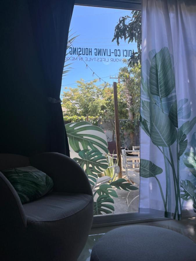 לינה וארוחת בוקר Dici Co-Living Housing קאבו סן לוקאס מראה חיצוני תמונה