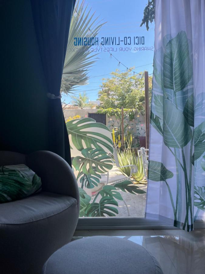 לינה וארוחת בוקר Dici Co-Living Housing קאבו סן לוקאס מראה חיצוני תמונה